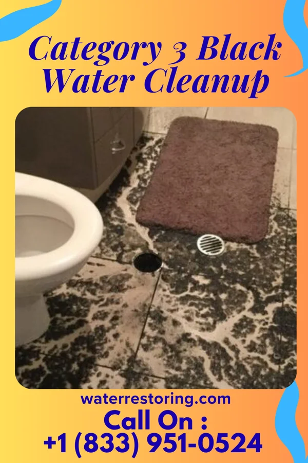 Category 3 Black Water Cleanup in St. Paul, IN