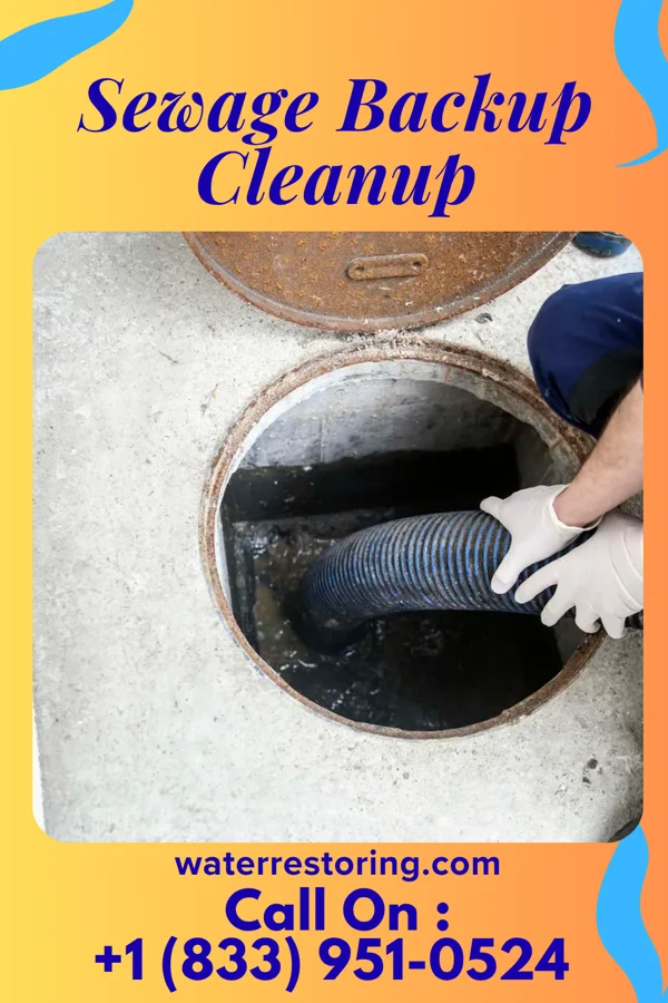 Sewage Backup Cleanup in St. Paul, IN