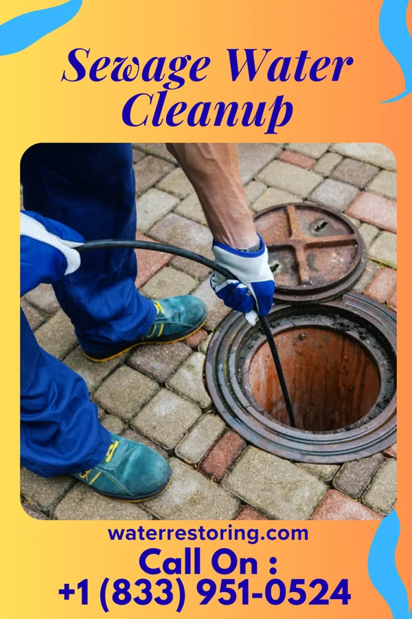 Sewage Water Cleanup in St. Paul, IN