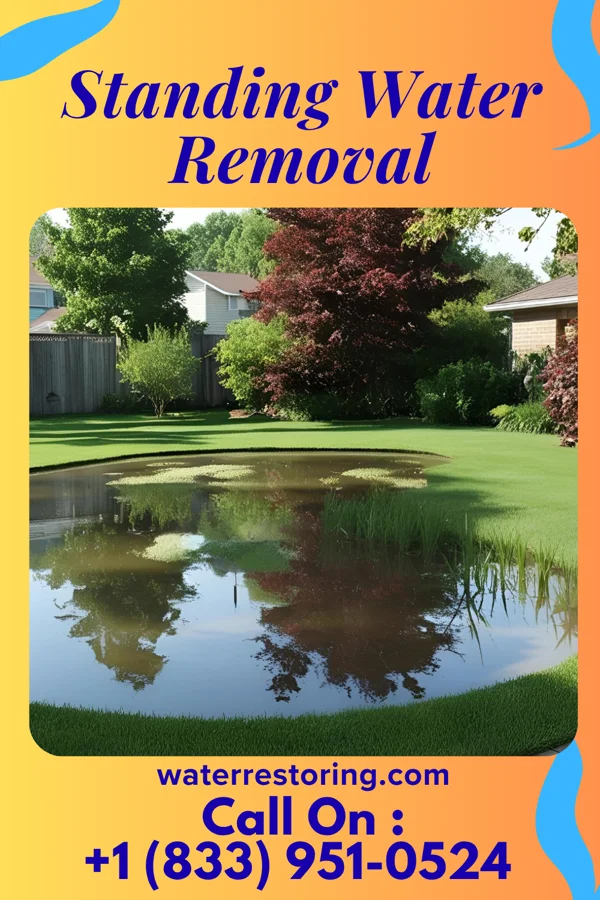 Standing Water Removal in St. Paul, IN